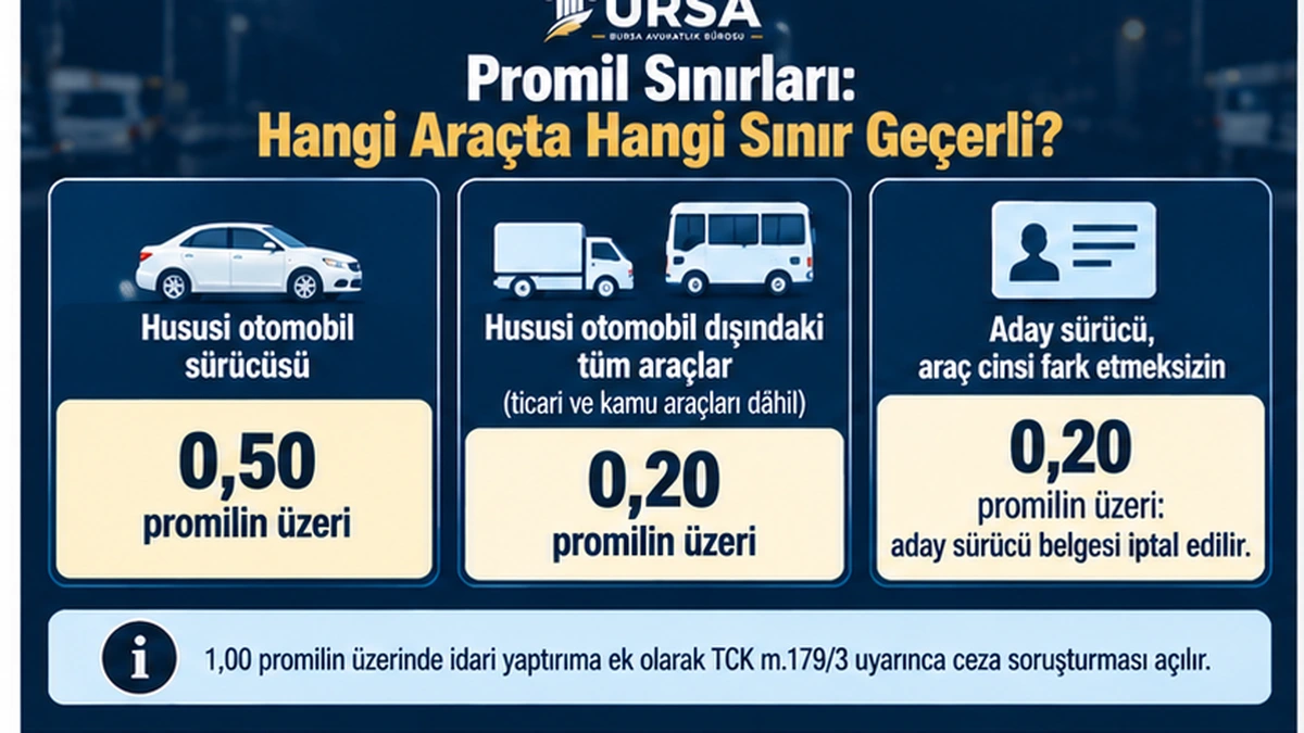 Hususi otomobil, diğer araçlar ve aday sürücüler için alkol sınırlarını ve ceza soruşturması eşiğini gösteren şema
