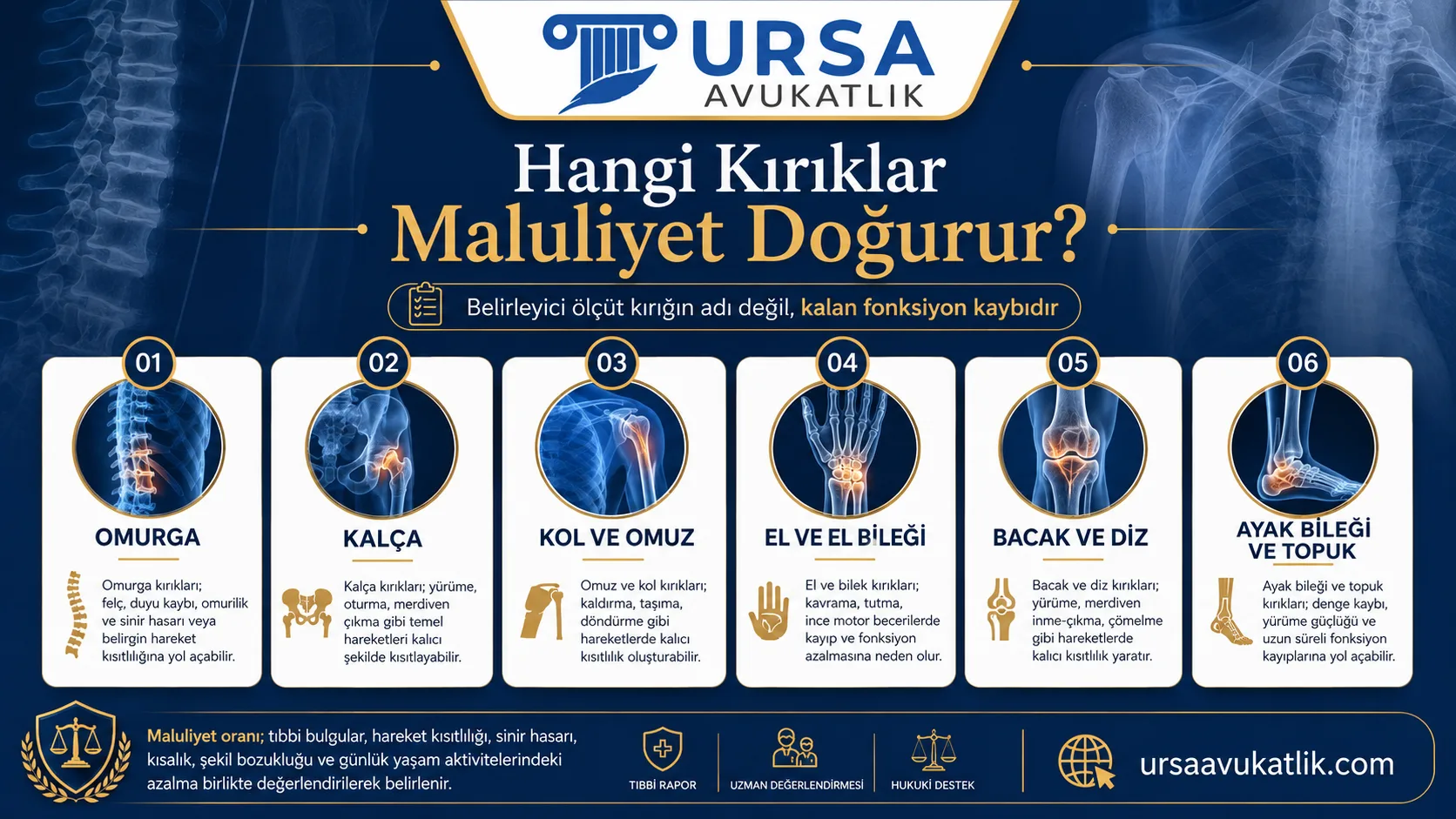 Hangi kırık türlerinin maluliyet doğurduğunu gösteren şema