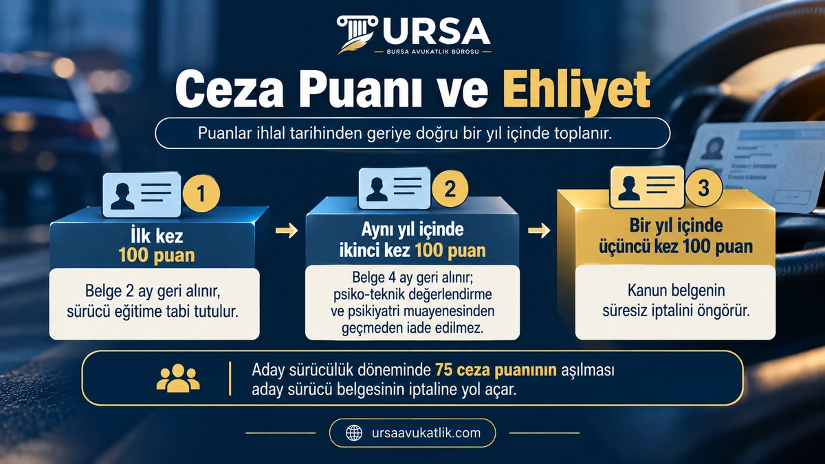 Bir yıl içinde birinci, ikinci ve üçüncü kez 100 ceza puanı dolduran sürücünün belgesine ne olduğunu gösteren şema