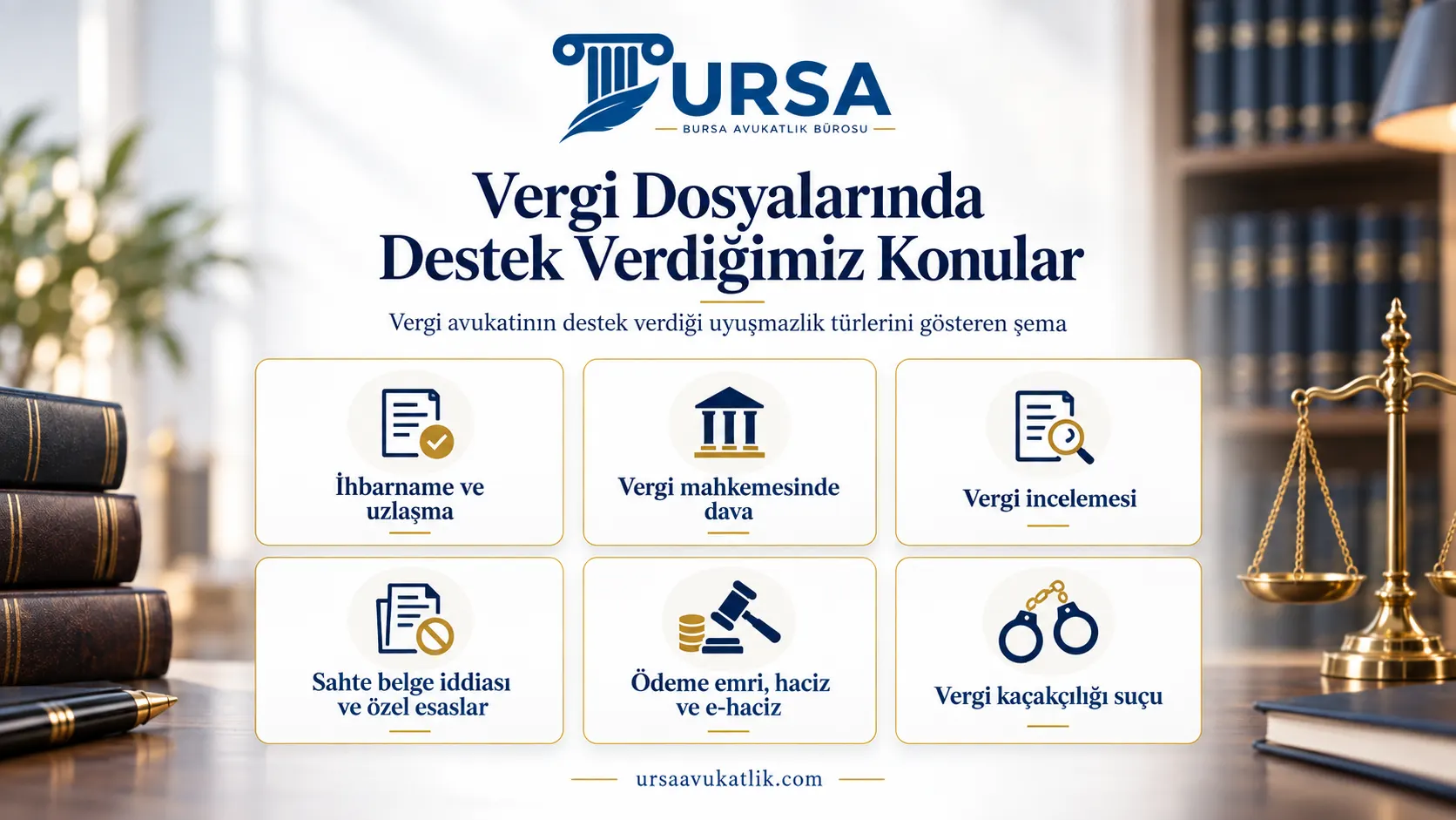 Vergi avukatının destek verdiği uyuşmazlık türlerini gösteren şema